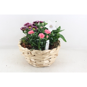 arr4 Outdoor PL - Zeegras mand rond XL