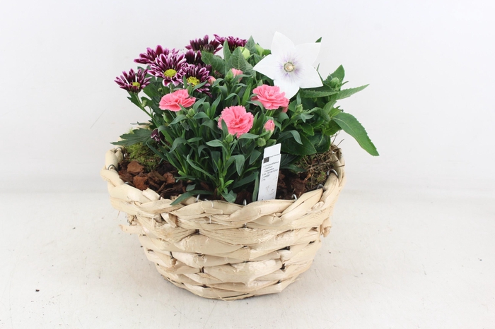 <h4>arr4 Outdoor PL - Zeegras mand rond XL</h4>
