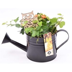 Zink gieter zwart mat 12cm