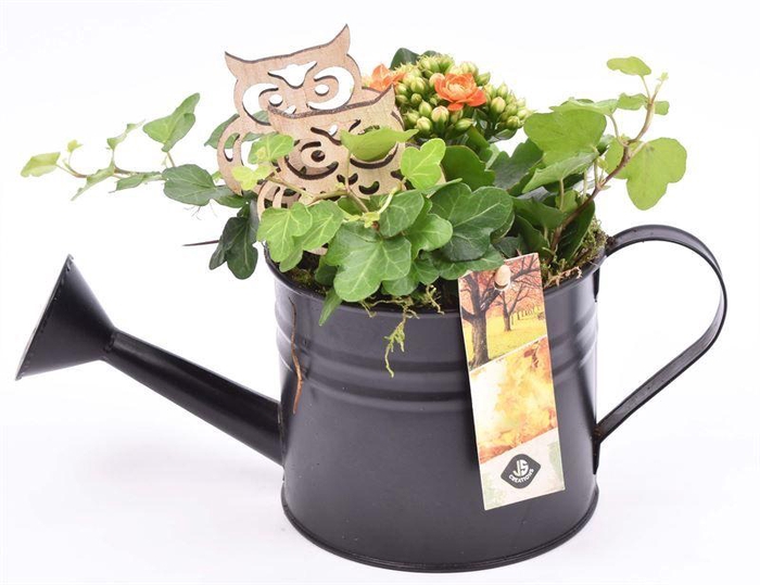 <h4>Zink gieter zwart mat 12cm</h4>