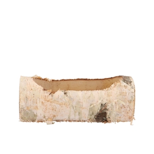 Nature Birch Planter 24x10x9cm