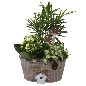 Arr. Planten L%