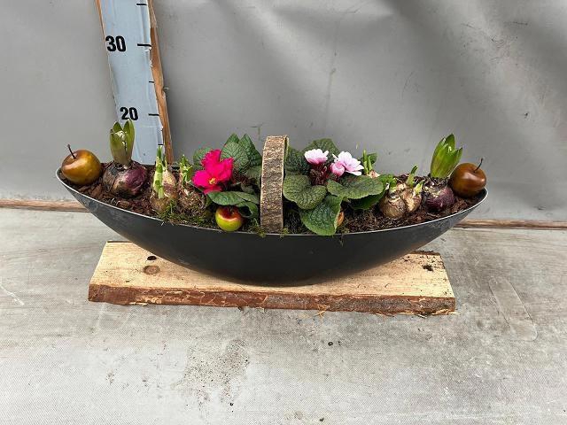 <h4>ARR BOL KNOLGEWAS</h4>