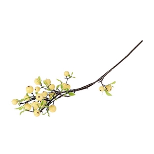 STEM APPLE BERRY L76 white