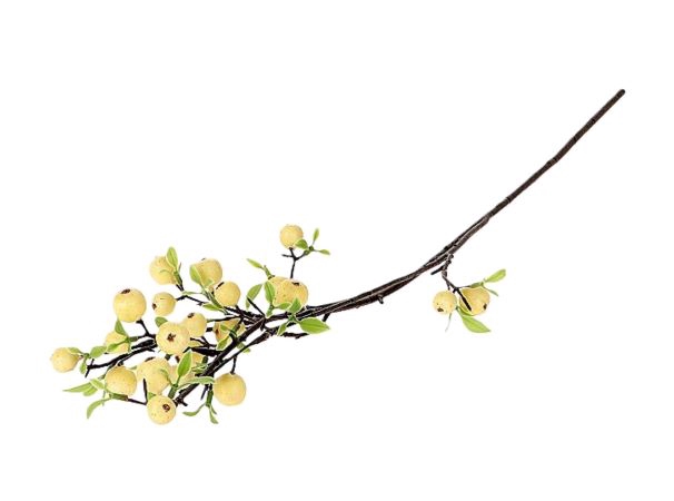 <h4>STEM APPLE BERRY L76 white</h4>