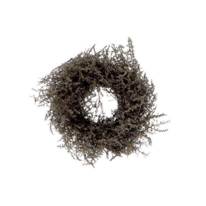 Wreath Asparagus Wax D30