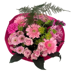 Bq Barbapapa pink M