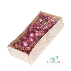 DRIED FLOWERS - HELICHRYSUM HEADS 100GR NATURAL DARKPINK