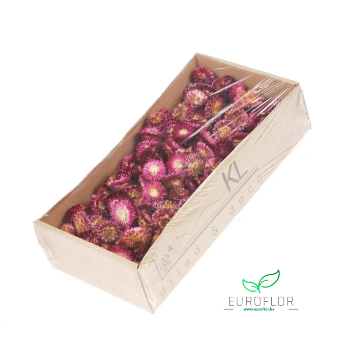 DRIED FLOWERS - HELICHRYSUM HEADS 100GR NATURAL DARKPINK