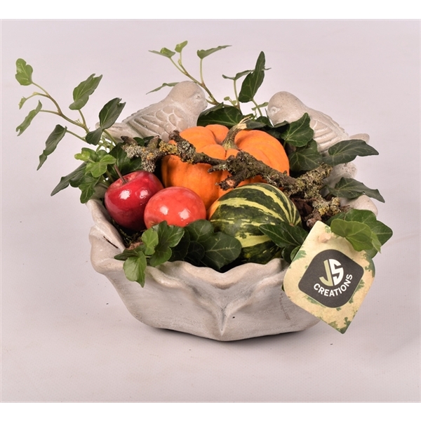 <h4>Arrangementen Sierfruit</h4>