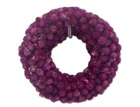Wreath Gomphrena D15