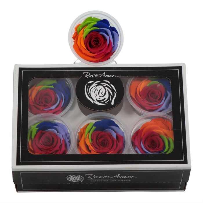 Rosa Preserved Xl Rainbow Red 02