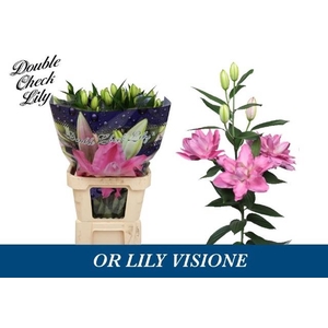 LI OR DU VISIONE
