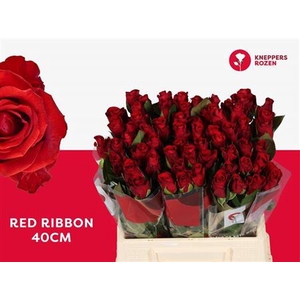 R Gr Red Ribbon