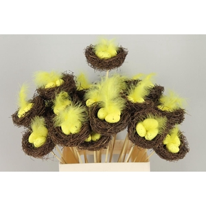 Stick Nest Salim + Eggs Yellow