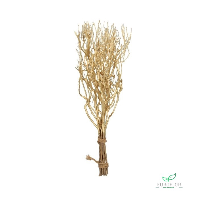 TEA BRANCH BUNDLE BRASS 65CM