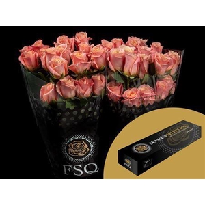 R Gr Miss Piggy Box