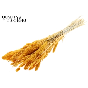 Dried Flower Mix bunch Bleached Apricot