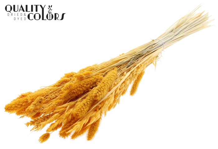 <h4>Dried Flower Mix bunch Bleached Apricot</h4>