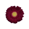 GERBERA AMBASSADOR < 050 CM > 10 CM DIAM