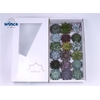 Echeveria Mecx Flowers (incl. Stick&pin) Incl. Mec
