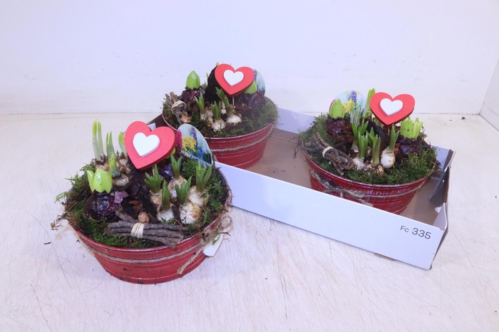 <h4>ARR BOL KNOLGEWAS</h4>