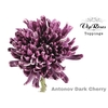 CHR G ANTONOV DARK CHERRY