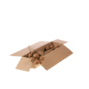 Bellani On Stem 10pc Sb Natural