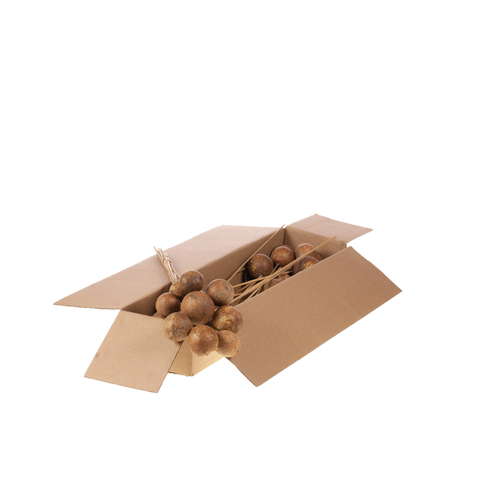 <h4>Bellani On Stem 10pc Sb Natural</h4>