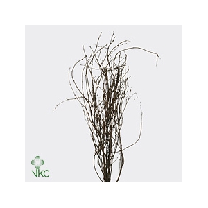 BERK 70CM NATUREL PBS