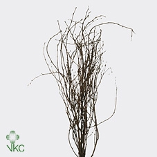 <h4>BERK 70CM NATUREL PBS</h4>
