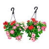 VINCA C21