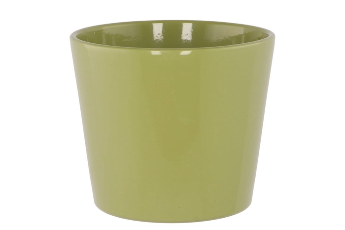 <h4>Ceramic Amazone Green Pot 15cm</h4>