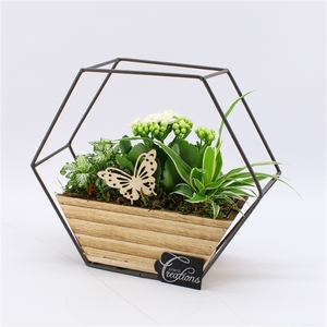 ESCR-2514W Essentials
