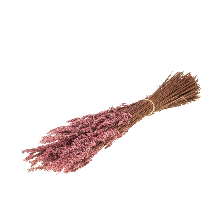 <h4>Lavender Preserved Pink</h4>