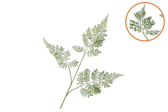 Silk Fern Forest Green 87cm