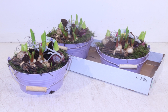 <h4>ARR BOL KNOLGEWAS</h4>