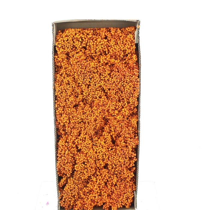 <h4>Dried Pepper Berries Orange</h4>