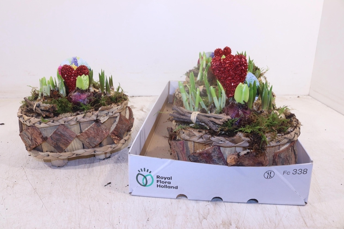 <h4>ARR BOL KNOLGEWAS</h4>