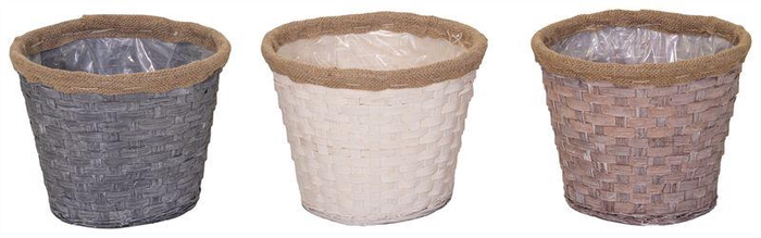 <h4>Bando Bamboo  Mix 6 Col. D23H18</h4>