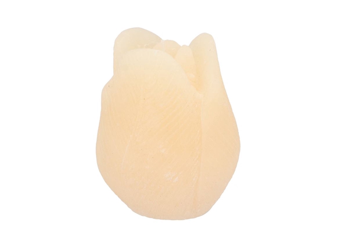 <h4>Candle Tulip Ivory 9x11cm</h4>