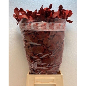 EUC POL KLB P BOS H%