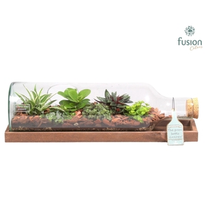 Green Bottle fles liggend large met groene planten