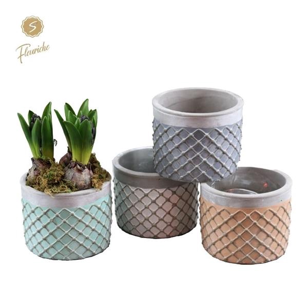 <h4>(3942) Hyacint Lloret de Mar 3PP Mos</h4>