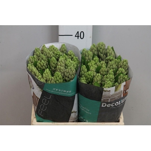 Hyac City Of Bradfor