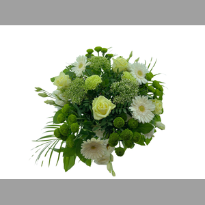 BQ Large White / Green
