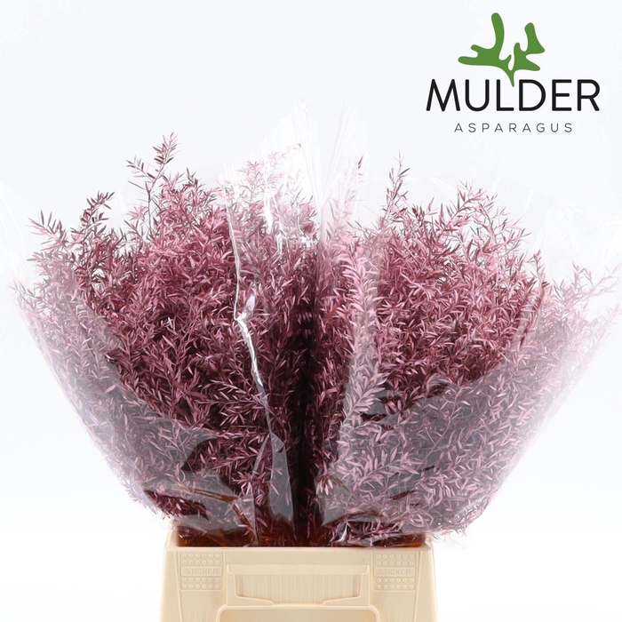 <h4>Asp De Cwebe Klb H%</h4>