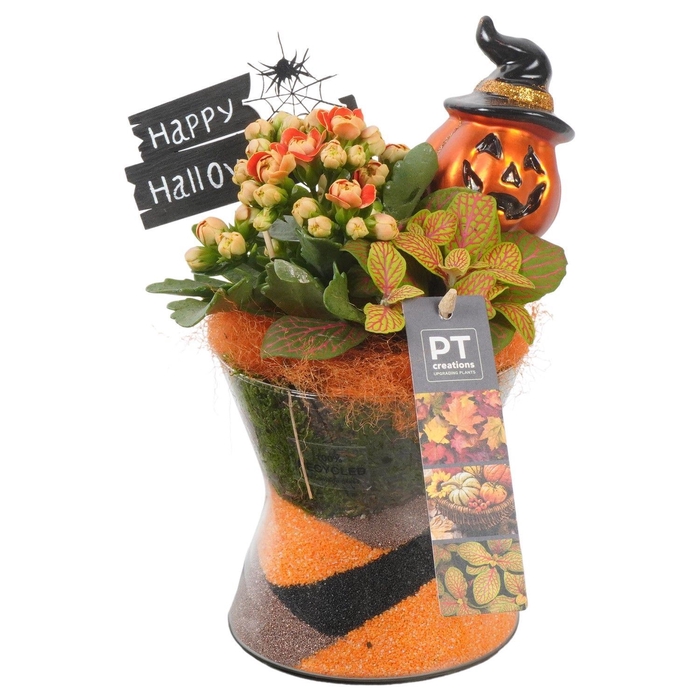 <h4>Arr.    Planten  L%</h4>