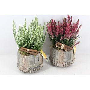 arr4 Outdoor JS - Ker. autumn staand