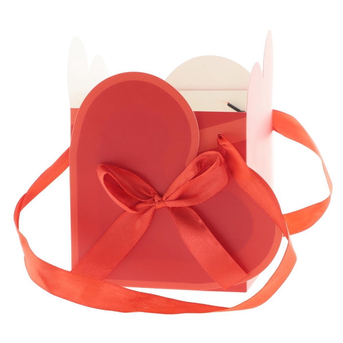 <h4>Valentine Bag Party love 12*12*16.5cm</h4>